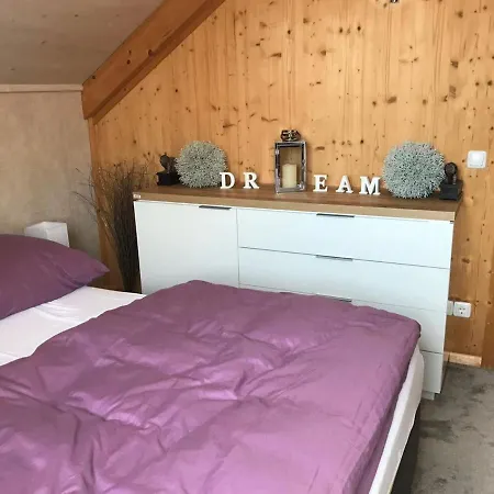 別荘 Premium Holiday In With Sauna ホーエンタウアーン